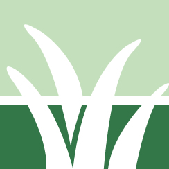 Commercial Lawn Care