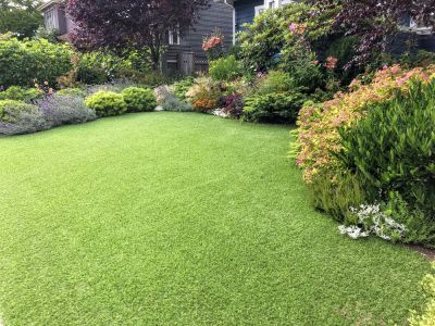 Environmental Friendliness