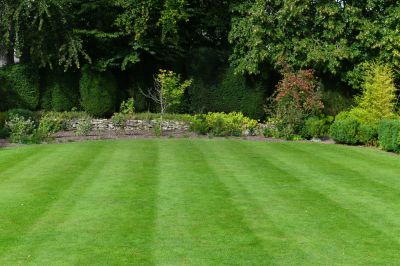 Enhanced Lawn Health
