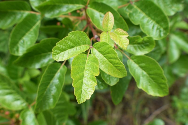 Wilmington, DE