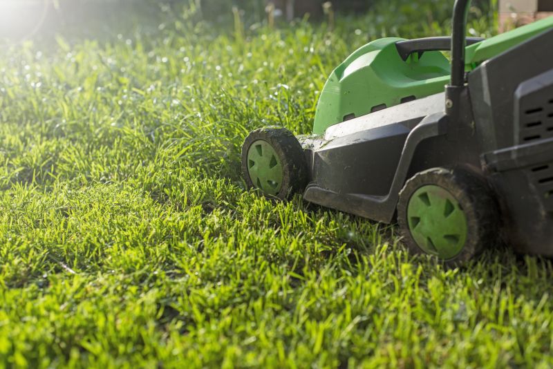 Cost of Commercial Lawn Care — Cost of Commercial Lawn Care