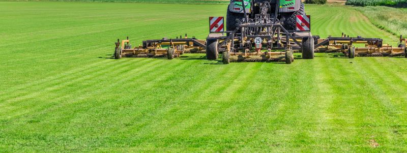 Cost of Commercial Lawn Care — Cost of Commercial Lawn Care