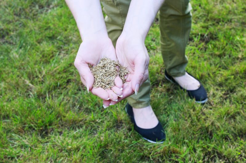 Grass Seeding Service in Honolulu, HI