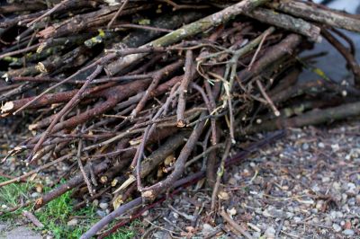 Lawn Debris Cleanup in Honolulu, HI