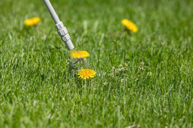 Lawn Spraying in Rockwall, TX