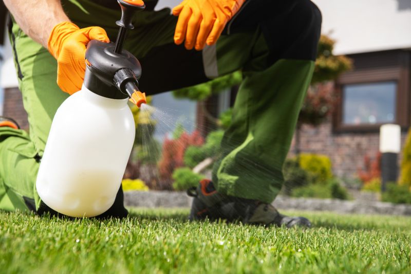 Lawn Weed Treatment in Honolulu, HI