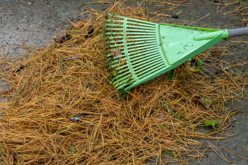 Leaf Raking Service in Honolulu, HI