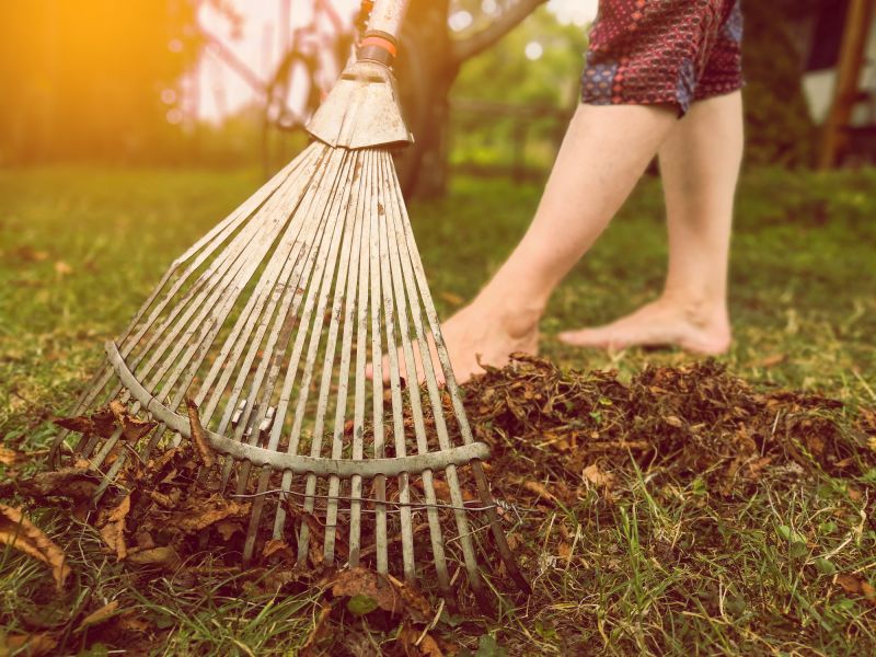 Leaf Raking Service in Ventura County, CA