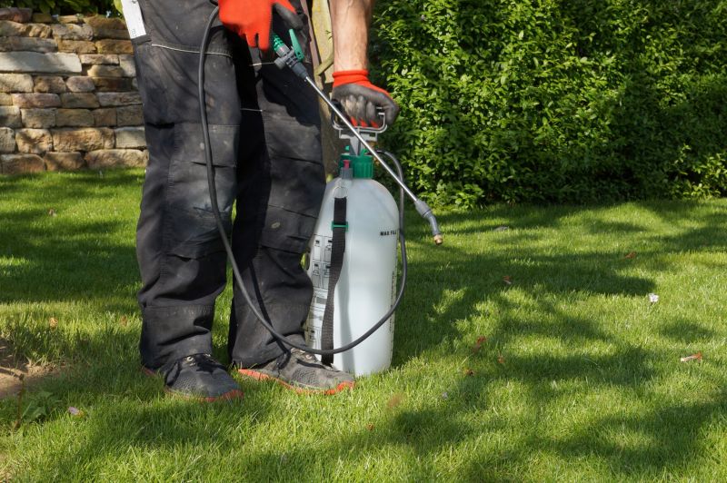 Pampas Grass Control in Honolulu, HI