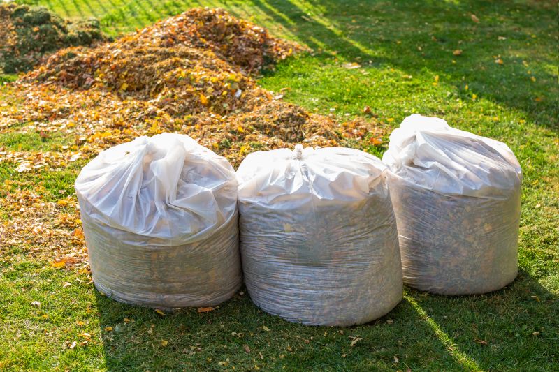 Spring Yard Clean Up Service in Ventura County, CA