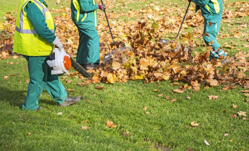 Yard Cleanup Service in Honolulu, HI