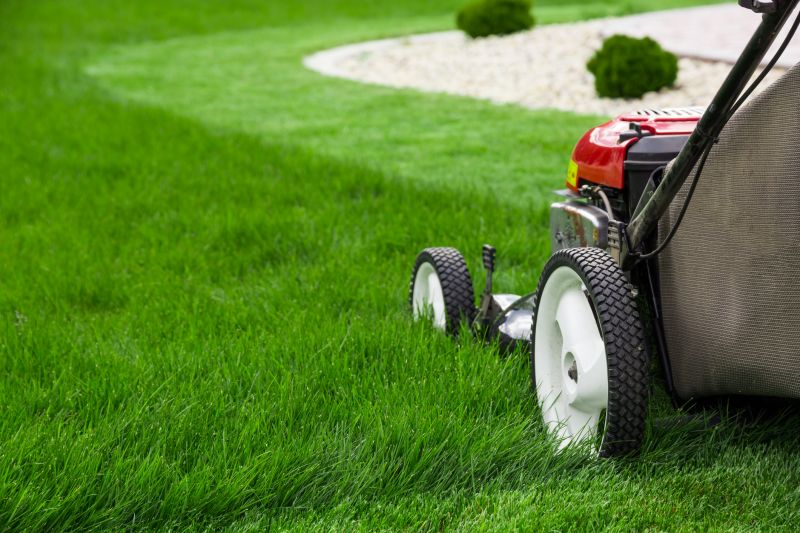 Yard Upkeep Service in Bowie, MD