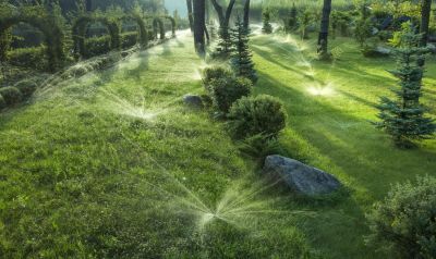 Enhanced Plant Health