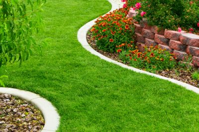 Improved Grass Density