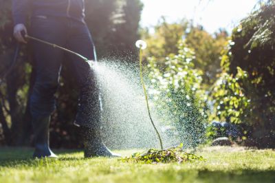 Prevention of Weed-Related Damage