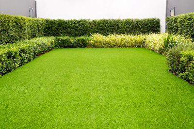 Healthy and Lush Lawns