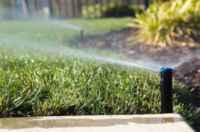 Efficient Water Distribution