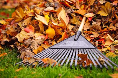 Safe and Eco-Friendly Practices
