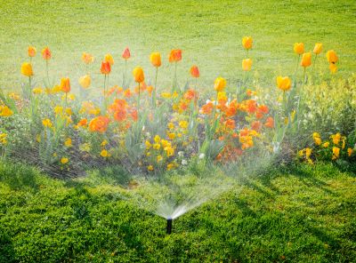 Customized Irrigation Solutions