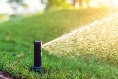 Optimized Water Efficiency